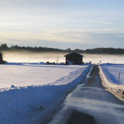 Winter Wonderland